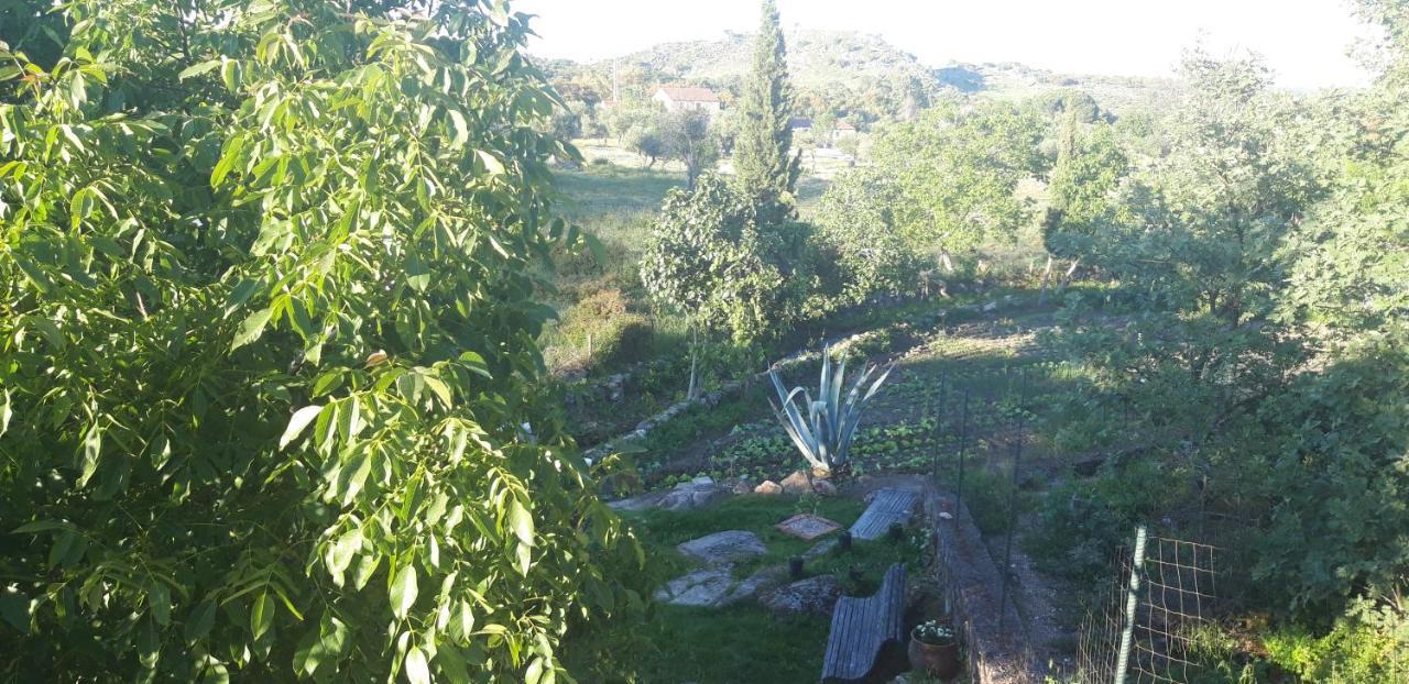 Casa Da Vizinha, Quinta Das Memorias Santo António das Areias المظهر الخارجي الصورة