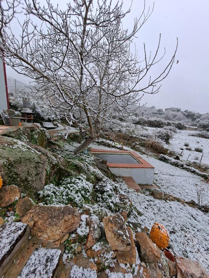 Casa Da Vizinha, Quinta Das Memorias Santo António das Areias المظهر الخارجي الصورة