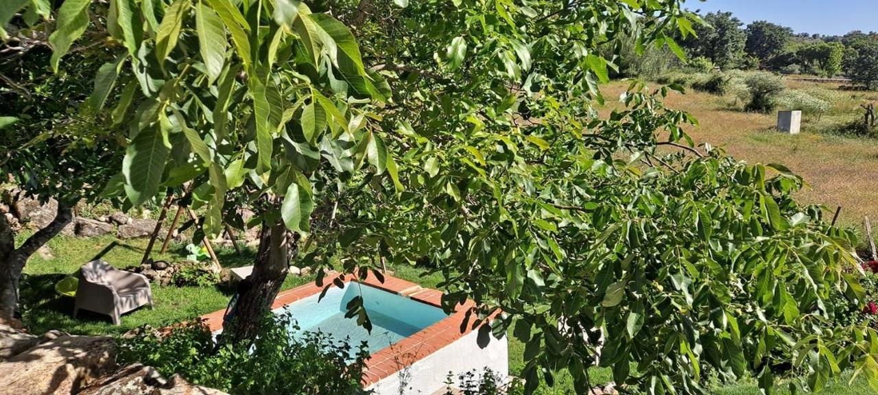 Casa Da Vizinha, Quinta Das Memorias Santo António das Areias المظهر الخارجي الصورة